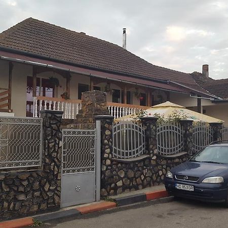 Casa Leo Διαμέρισμα Haţeg Εξωτερικό φωτογραφία