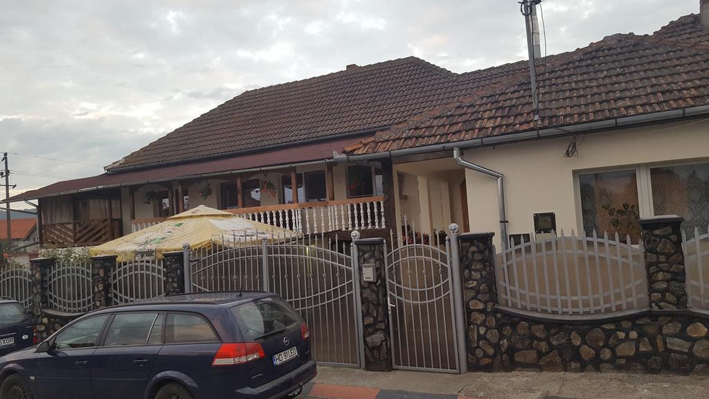 Casa Leo Διαμέρισμα Haţeg Εξωτερικό φωτογραφία