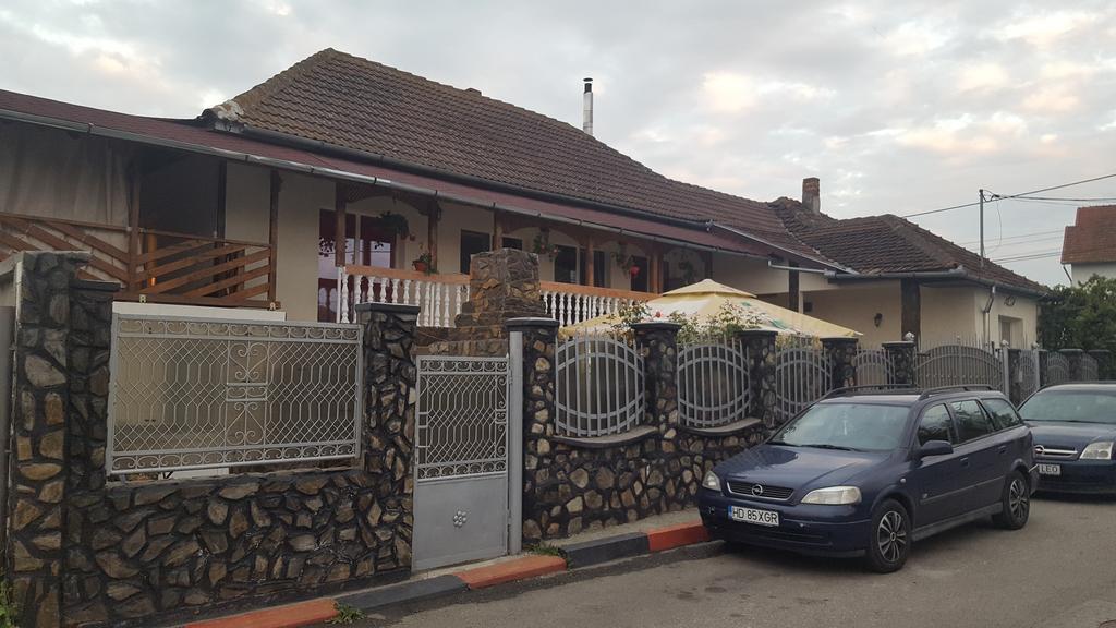 Casa Leo Διαμέρισμα Haţeg Εξωτερικό φωτογραφία