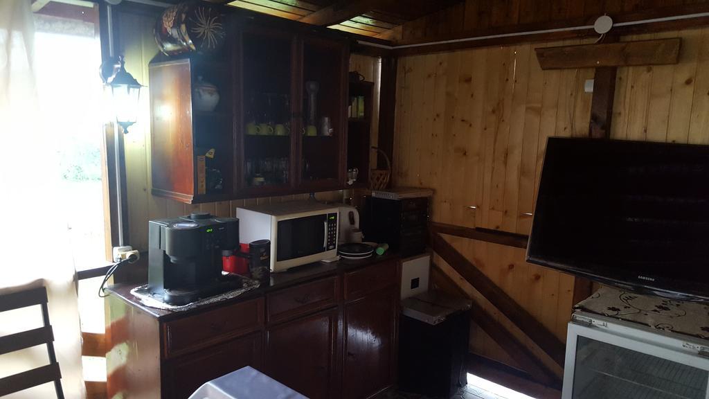 Casa Leo Διαμέρισμα Haţeg Εξωτερικό φωτογραφία