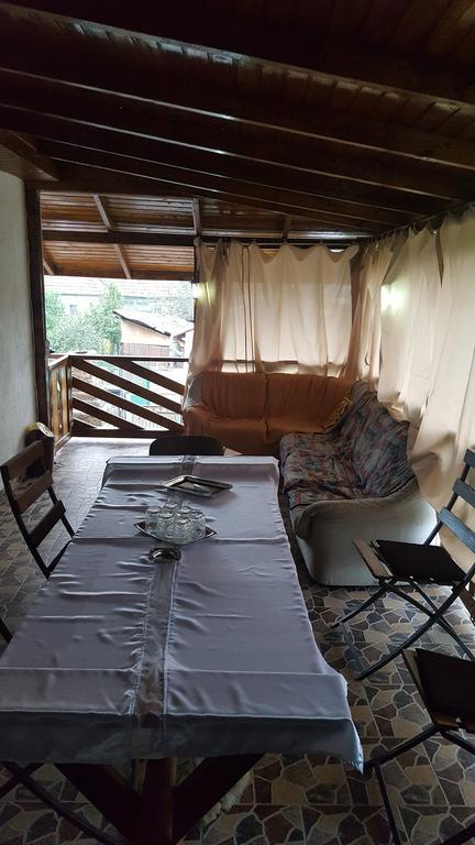 Casa Leo Διαμέρισμα Haţeg Εξωτερικό φωτογραφία