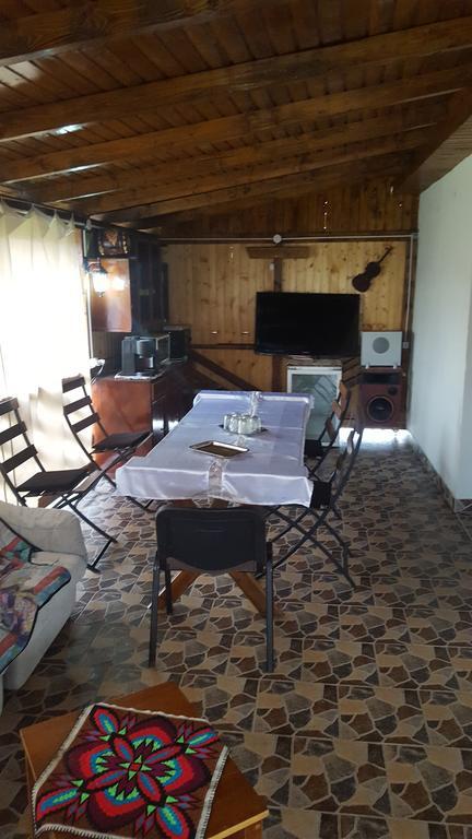 Casa Leo Διαμέρισμα Haţeg Εξωτερικό φωτογραφία