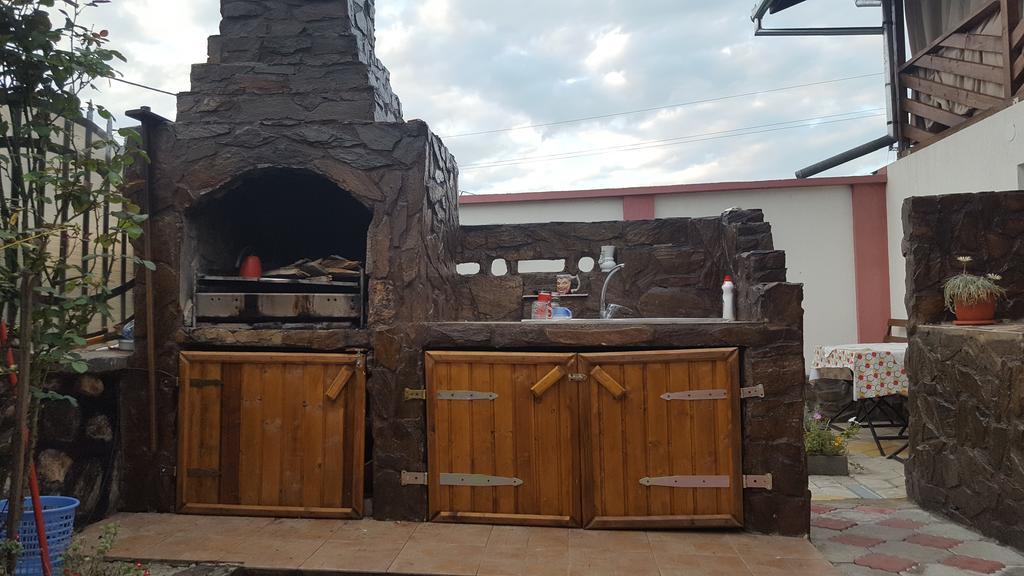 Casa Leo Διαμέρισμα Haţeg Εξωτερικό φωτογραφία