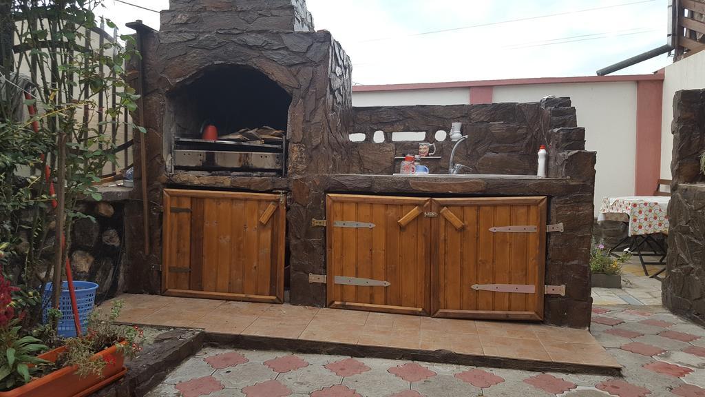 Casa Leo Διαμέρισμα Haţeg Εξωτερικό φωτογραφία