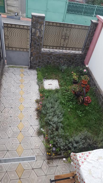 Casa Leo Διαμέρισμα Haţeg Εξωτερικό φωτογραφία
