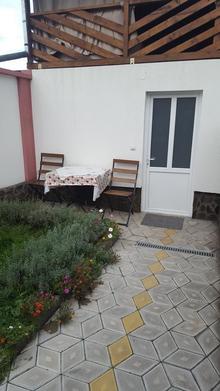 Casa Leo Διαμέρισμα Haţeg Εξωτερικό φωτογραφία